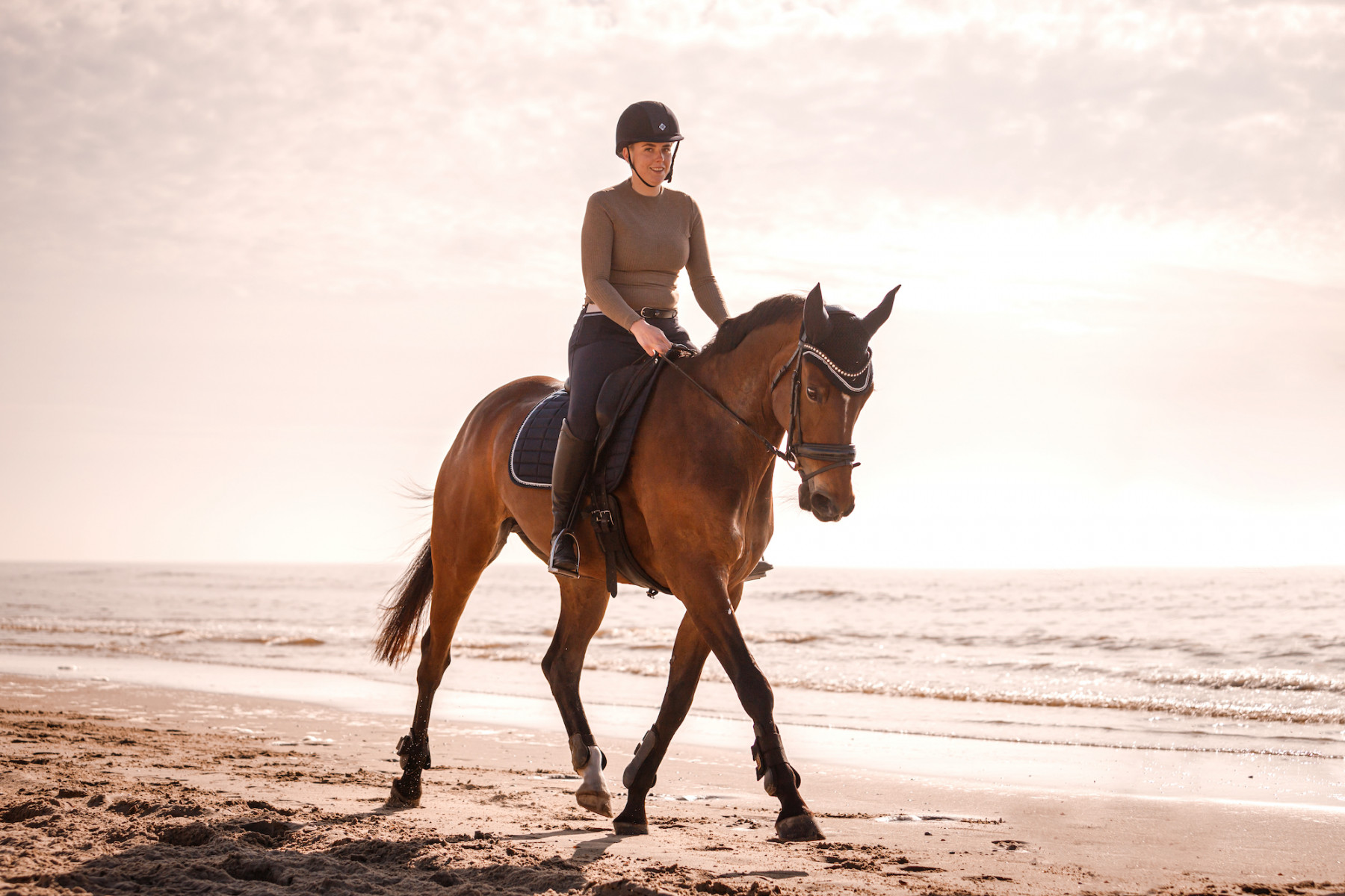 Fotoshoots met paarden op het strand van Noord-Holland